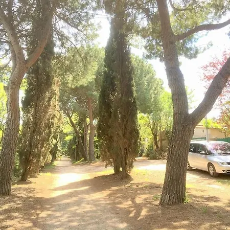 아파트 Avec Jardin 몽펠리에